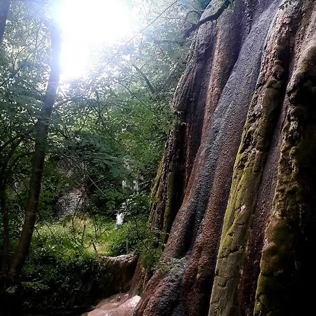 Bed and Breakfast Le Petit Coin De Charme