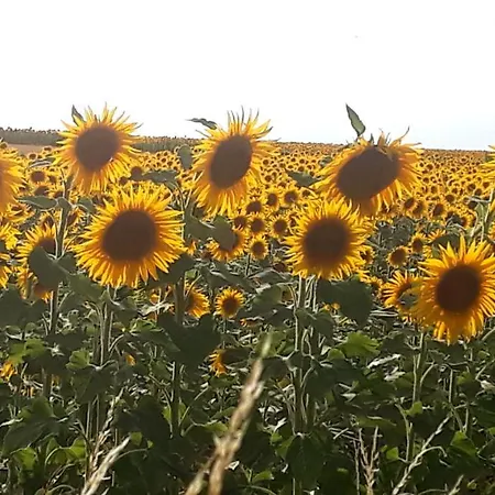 Bed and Breakfast Le Petit Coin De Charme