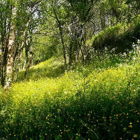 Bed and Breakfast Le Petit Coin De Charme