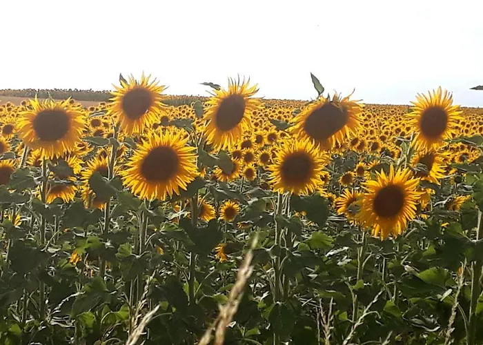 Bed and Breakfast Le Petit Coin De Charme