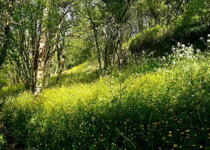 Bed and Breakfast Le Petit Coin De Charme