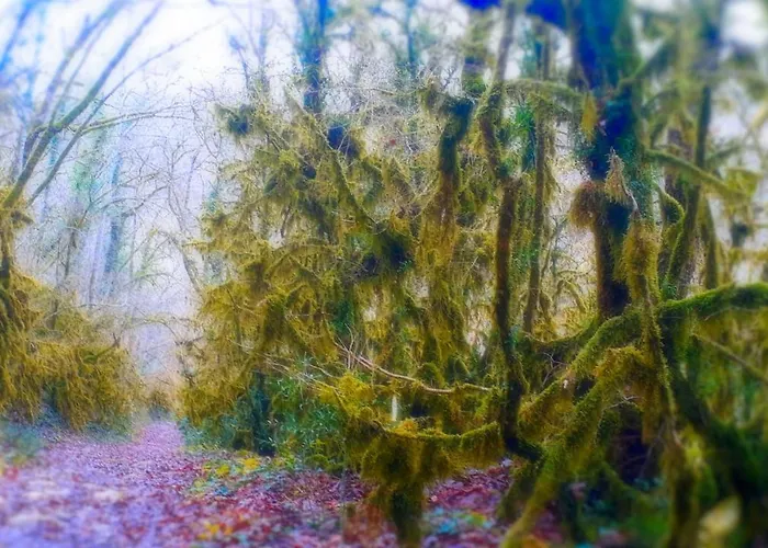 Le Petit Coin De Charme Caylus