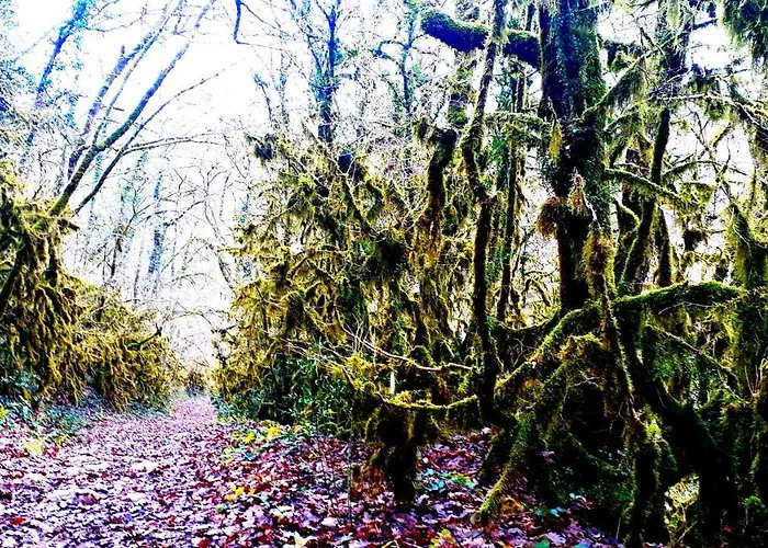 Le Petit Coin De Charme Bed and Breakfast