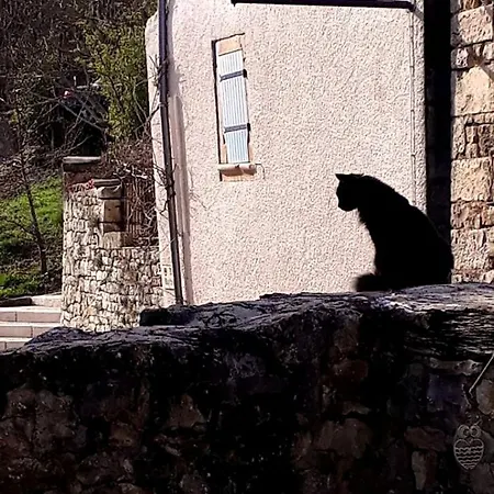Le Petit Coin De Charme Caylus