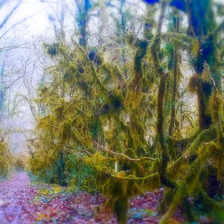 Le Petit Coin De Charme Caylus