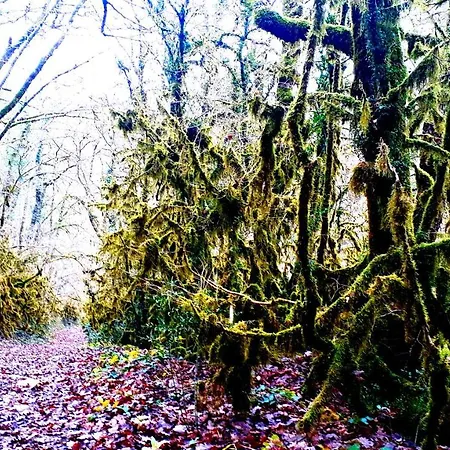 Le Petit Coin De Charme Bed & Breakfast